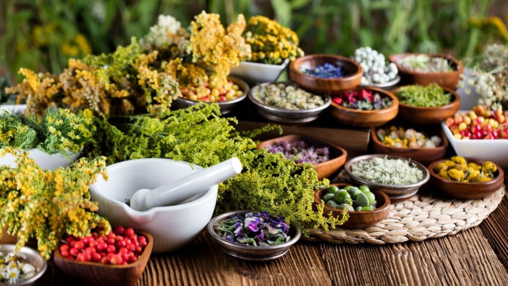 Simple Organopathy & Dietation